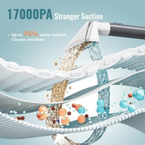 Unityj Uk Appliances Cleanwise Carpet Cleaner Machine 2 1120