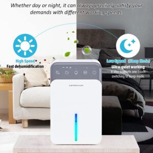 LIPONTAN Dehumidifiers for Home - Portable, Quiet, Mini Dehumidifier 350ml Day - UnityJ-UK